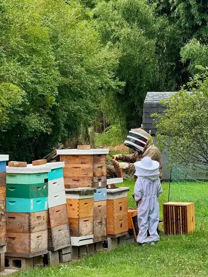 Famiglia apicoltrice Vie del Lago al lavoro nell'apiario, Conza della Campania, Irpinia